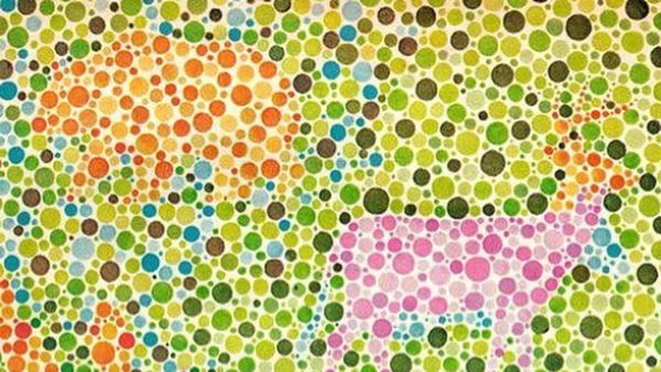 Setajam Apakah Saraf Mata Anda? Cek dengan Tes Buta Warna Ini