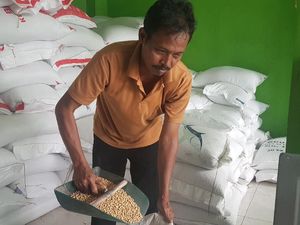 Rupiah Terpukul, Pengusaha Kedelai dan Tempe di Banten Mengeluh