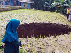 Lubang Misterius Muncul di Pesawahan Warga Sukabumi Lubang Misterius Muncul di Pesawahan Warga Sukabumi