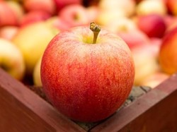 Apel Red Delicious Kini Tak Populer Lagi di Amerika, Ini Sebabnya