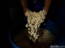 Pastikan Harga Kedelai Tak Naik, Mendag: Tempe Jangan Diperkecil