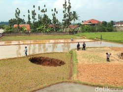 Lubang Misterius di Sukabumi, Pemilik Sawah Merugi