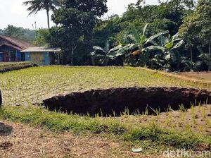 Geger Sinkhole Raksasa di Tengah Sawah Sukabumi