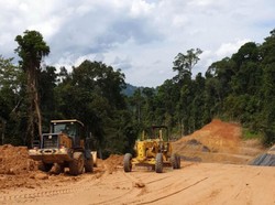Pakar UGM: Pembangunan IKN Berisiko Deforestasi Hutan Kalimantan