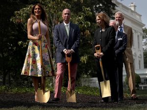 Payudara Melania Trump Disebut Membesar karena Operasi