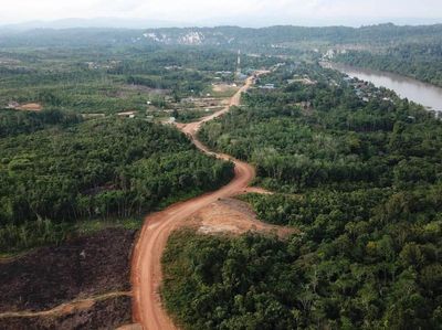 Wow, Jalan Perbatasan Kalimantan Dibangun Tembus Hutan