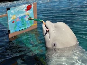 Tingkah Lucu Para Hewan Saat Menjadi Seniman