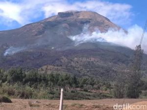 Dinilai Berbahaya, Pemadaman Api di Gunung Sindoro Pakai Heli Batal Dinilai Berbahaya, Pemadaman Api di Gunung Sindoro Pakai Heli Batal