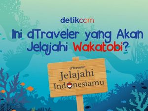 Inilah Pemenang dTraveler Jelajahi Indonesiamu ke Wakatobi