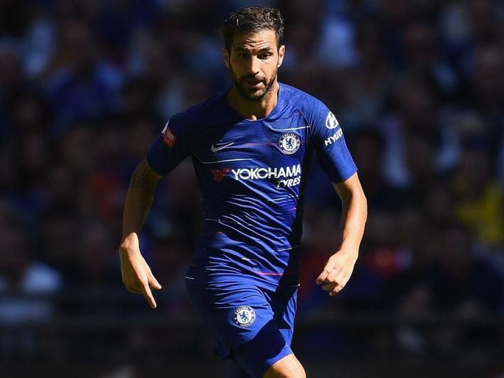 Belum Banyak Main, Fabregas Tetap Setia ke Chelsea Belum Banyak Main, Fabregas Tetap Setia ke Chelsea