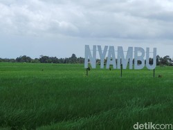 Mimpi Desa Wisata Nyambu Jadi Ubud Kedua di Pulau Dewata