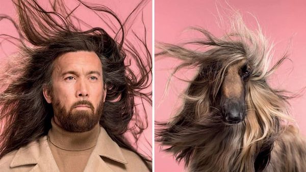 Kocak! Potret Anjing Peliharaan yang Sangat Mirip dengan Pemiliknya