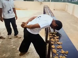 Pria Ini Pecahkan Rekor Dunia dengan Hancurkan Ratusan Walnut dengan Kepalanya