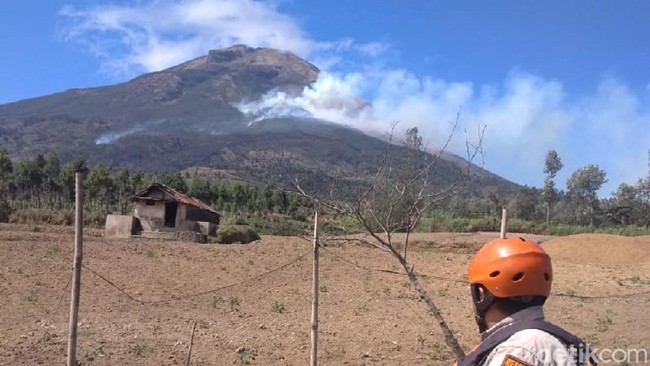 Hutan di Gunung Sindoro Terbakar