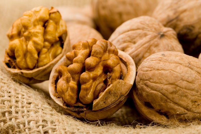 rekor walnut