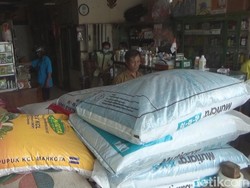 Harga Pupuk di Jombang Naik Hingga 22% Imbas Rupiah Anjlok