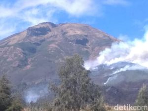 Kebakaran Sindoro-Sumbing, Ganjar Minta Perhutani Galakkan Patroli