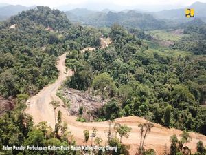 Ada Hutan Industri di Lokasi Ibu Kota Baru RI Ada Hutan Industri di Lokasi Ibu Kota Baru RI