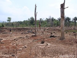 Krisis Kekeringan, Pemprov Jabar Ajak Warga Salat Istisqa