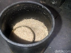 Harga Kedelai Naik Jadi Rp 790 Ribu/Kwintal, Karena Dolar AS Tinggi?