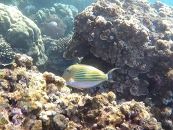 Terbuai Kecantikan Amed di Akhir Pekan