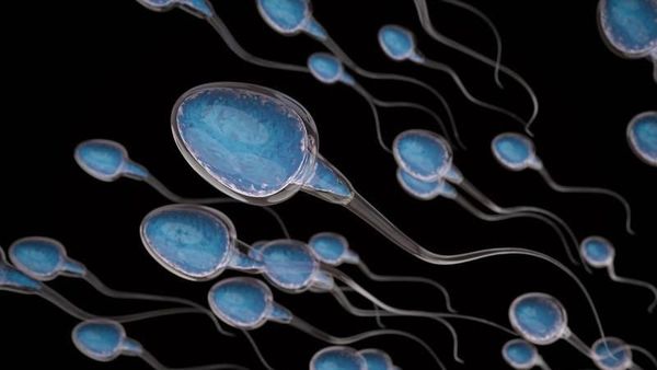 Fakta Unik Bumi dan Alam Semesta yang Mencengangkan