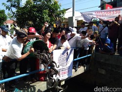 Abaikan Kritik, Relawan Jokowi Tetap Lepas 10 Ton Lele di Yogya