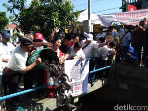 Kata Keraton Yogya Soal Pelepasan 10 Ton Lele di Selokan Mataram Kata Keraton Yogya Soal Pelepasan 10 Ton Lele di Selokan Mataram