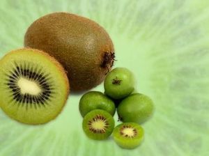 Buah Baby Kiwi yang Mungil Ini Siap Jadi Tren Buah Buah Baby Kiwi yang Mungil Ini Siap Jadi Tren Buah