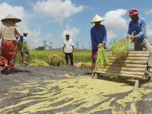 Mentan Bicara Asuransi Pertanian hingga Petani Konglomerat
