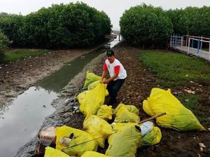Horor Limbah Medis di Karawang, 5 Saksi Diperiksa Polisi Horor Limbah Medis di Karawang, 5 Saksi Diperiksa Polisi