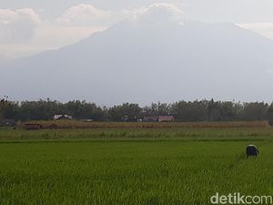 Jalur Dibuka, Ribuan Pendaki Akhirnya Bisa Suroan di Gunung Lawu