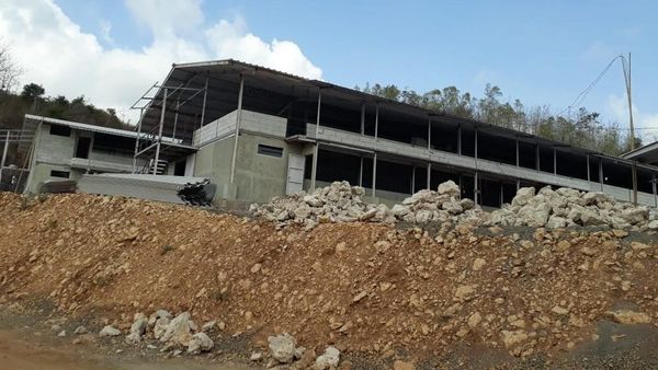 Foto: Kontroversi Peternakan Ayam di Geopark Gunung Sewu