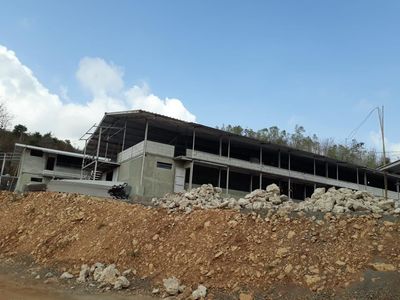 Foto: Kontroversi Peternakan Ayam di Geopark Gunung Sewu