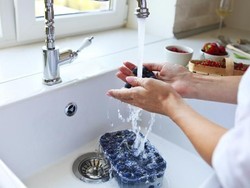 Begini Cara Yang Benar Cuci Beras, Selada, hingga Ikan