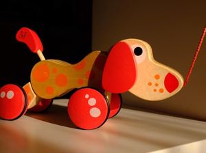 Perdes Sanur Juga Atur Soal Vaksinasi hingga Eutanasia Anjing