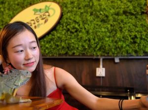 Serunya! di Kafe Ini Bisa Ngopi Sambil Selfie Dengan Ular Serunya! di Kafe Ini Bisa Ngopi Sambil Selfie Dengan Ular