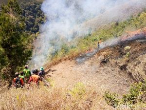 Gunung Wilis Terbakar, 25 Hektare Hamparan Ilalang Dilalap Api Gunung Wilis Terbakar, 25 Hektare Hamparan Ilalang Dilalap Api