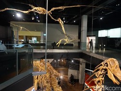 Cara Gratis Masuk ke Aneka Museum di Melbourne