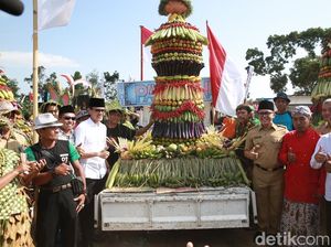 Uniknya Karnaval Hortikultura di Banyuwangi