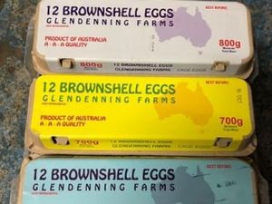 Penarikan Sejumlah Telur di Sydney Setelah Ada Keracunan