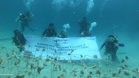 Tour de Terumbu, Upaya Pertamina Lestarikan Terumbu Karang Indonesia