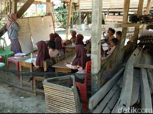 Miris! Siswa Kelas 1-6 SD di Pinrang Sulsel Belajar di Kolong Rumah