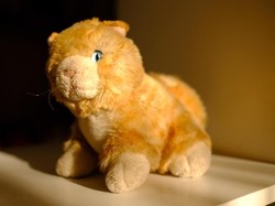 Sadis! Viral Anjing Dipukuli hingga Mati di Nusa Dua Bali