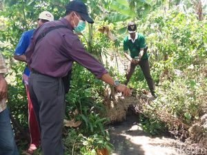 Mayat Bayi Tanpa Tangan dan Kaki Ditemukan Mengapung di Kolam Lele