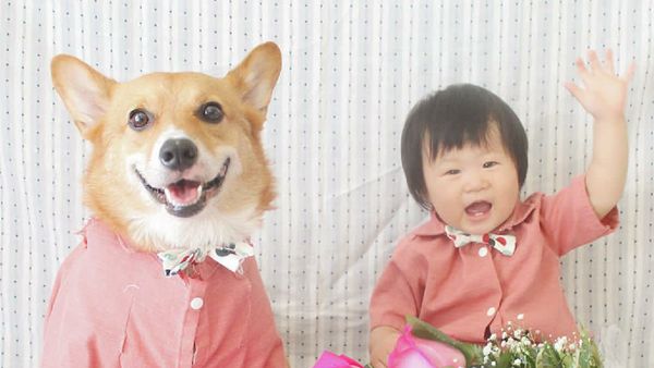 Tingkah Menggemaskan si Kecil dengan Anjing Peliharaannya