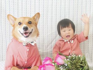 Tingkah Menggemaskan si Kecil dengan Anjing Peliharaannya