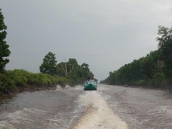 Terpencilnya Lalan Sumsel, Sarang Buaya hingga Pembuangan Mayat