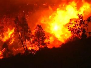 California Terbakar Hebat, Warga Enggan Dievakuasi