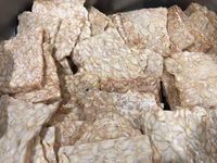 Pasangan Artis Korea Buka Pabrik Tempe Indonesia di Taean